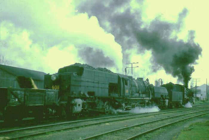 Garratt 6040 and 3616 Dubbo
